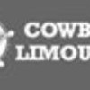 Cowboys Limousine