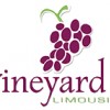 Vineyard Limousine & Party Bus